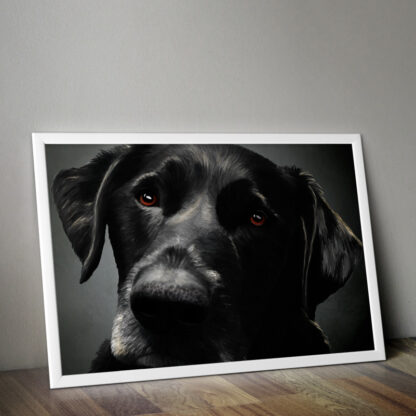 Pet Portraits - Image 12