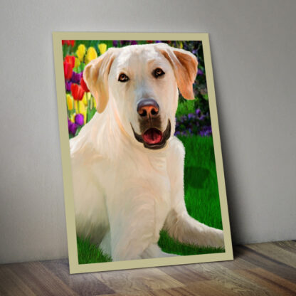 Pet Portraits - Image 8