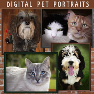 Pet Portraits