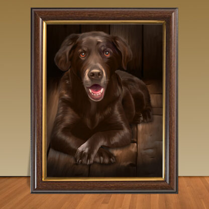 Pet Portraits - Image 14