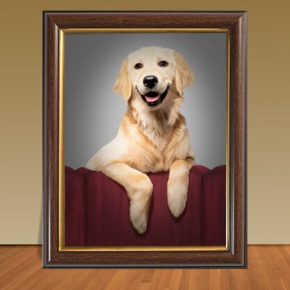 Pet Portraits - Image 11