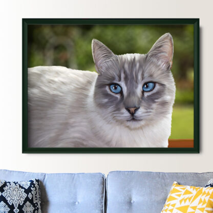 Pet Portraits - Image 7